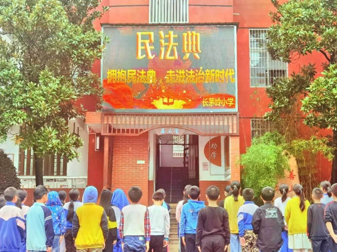 法治宣传|青少年法治教育，岳麓教育人在行动！