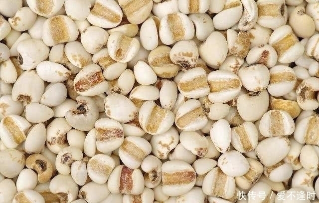 大肚腩|枸杞与“它”配搭,连续喝一周,排出湿毒,连大肚腩也消失了