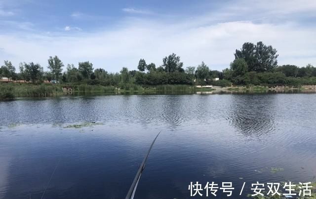 垂钓|野塘垂钓什么钓位好光有水草不够，这样选才能连竿上鱼