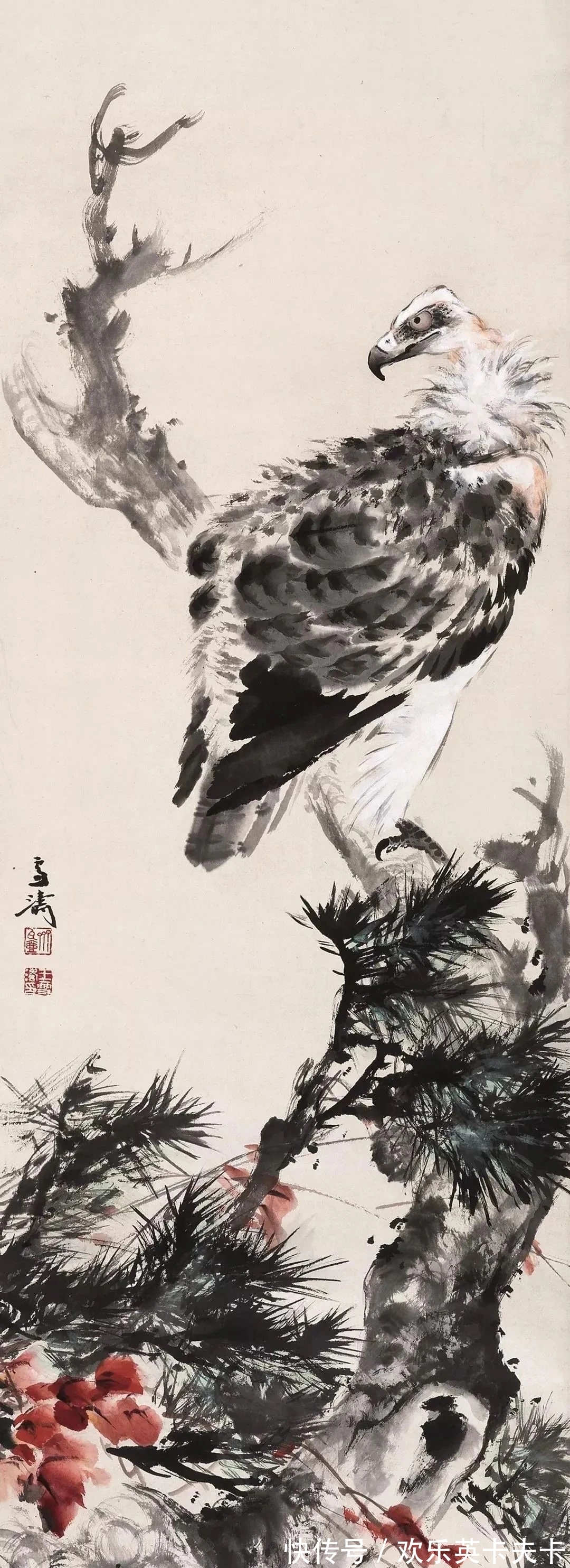 花鸟画!清俊靓丽|最具辨析度的中国画,王雪涛花鸟画