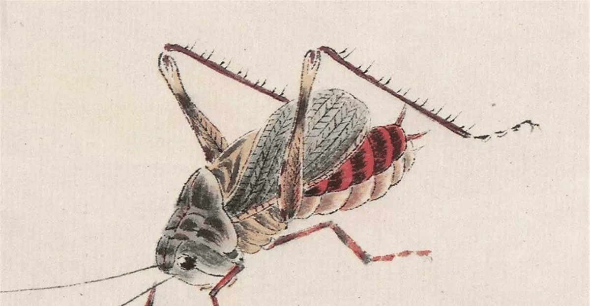 3d|齐白石画的一只虾, 专家用高科技缩小到0.618倍, 看到了3D的效果!