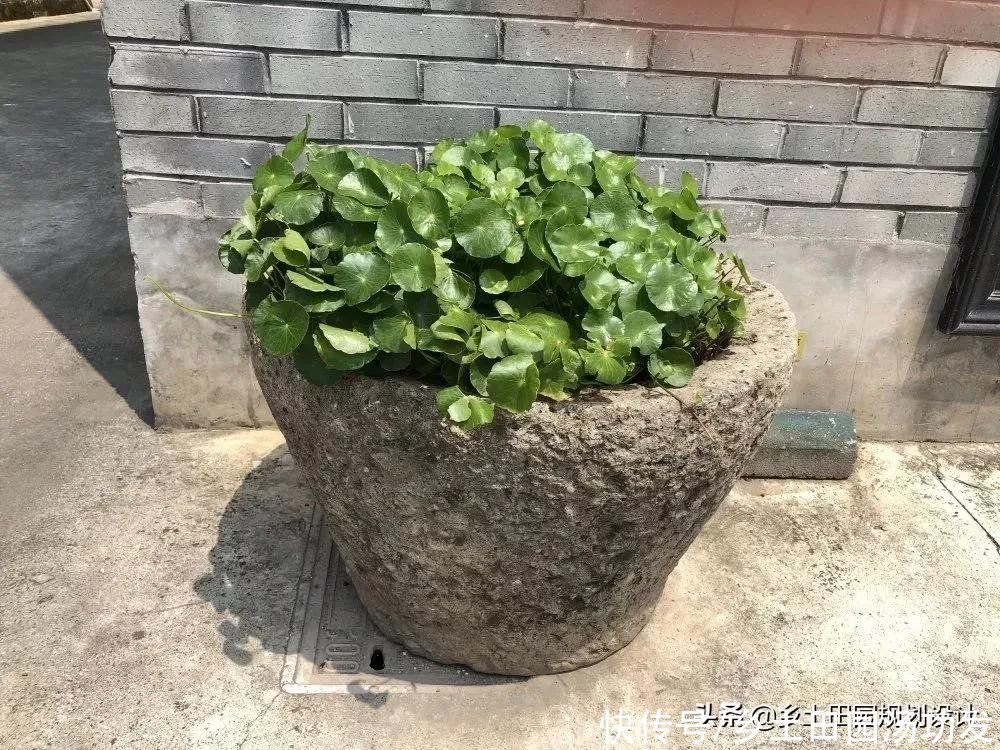 石槽|乡土风情——宁波小城镇整改中的乡土材料应用示范
