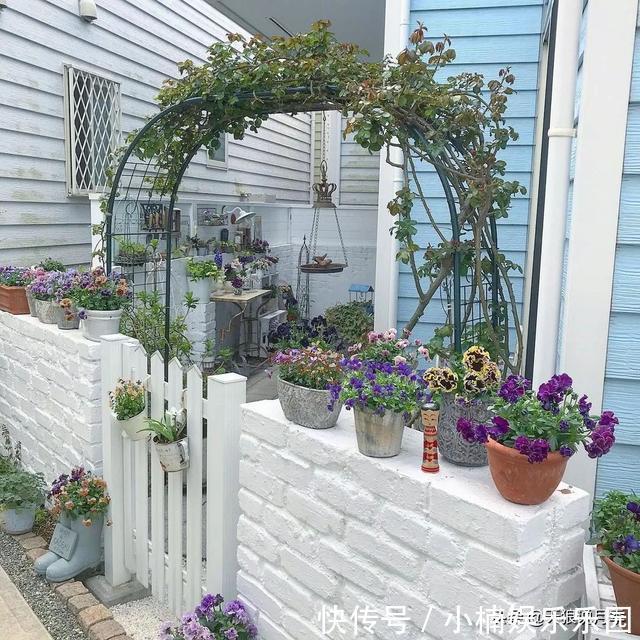 毛地黄|小空间花园打造指南丨四季开花不断,她是怎么做到的?