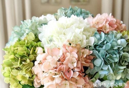 种花|家里万万不要养这3种花,难怪身体越住越差,后悔我家现在才听说