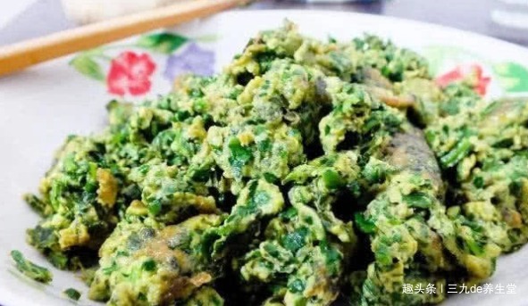 可溶性纤维|胖子要多食3菜,每天炒一盘,清淡解油腻,排出毒素,越吃越瘦