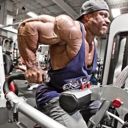 普通人|普通人练肌肉，要不要跟健美运动员学习