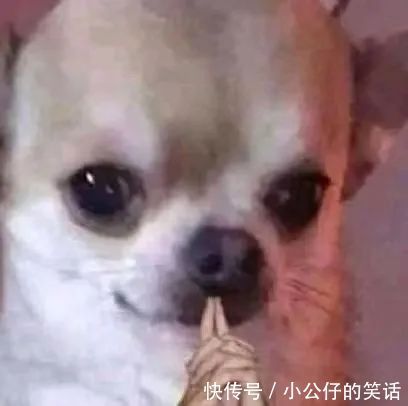 阴间|“千万!不要!随便在淘宝乱搜索啊!”哈哈哈沙雕卖家想笑死我……