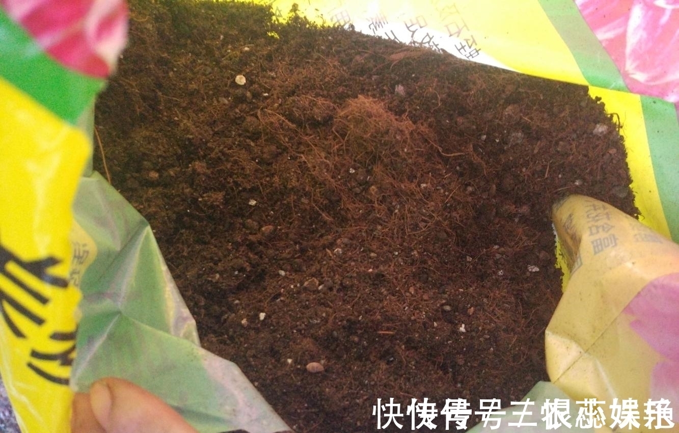 家里养花不花钱, 一个小方法, 用不完的草炭土