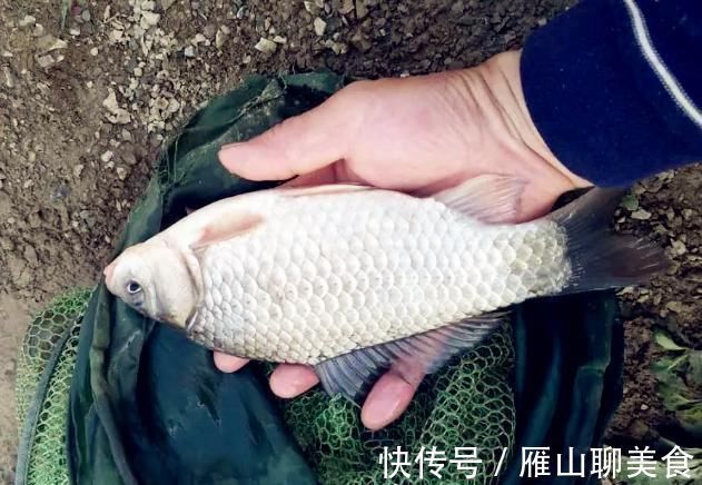 辈子|野钓大半辈子，竟然才知道诱鱼最管用的方法，你尝试过了吗