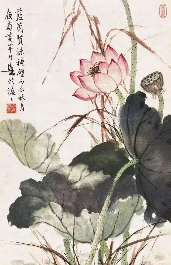 岭南画派|秋日荷塘，惊艳了你的视觉