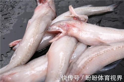 美味|海鲜市场这7种鱼，人工养殖难度大，遇到买几条享受纯天然美味