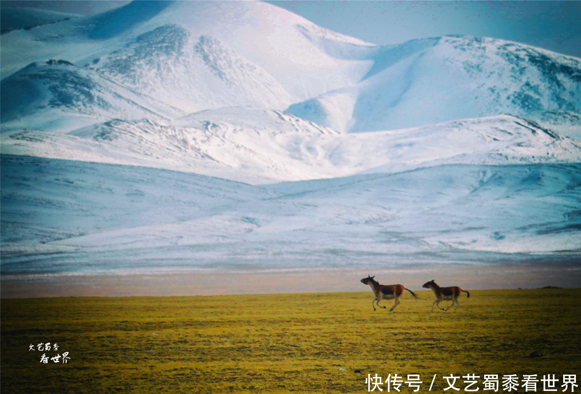 中年|承认吧!2021年你根本不敢一个人去旅行