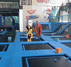 劳动|搞笑GIF：劳动人民的智慧是无穷的