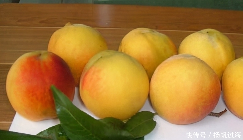 茄子|谁吃谁好的食物，女性莫错过，清理肠胃、排毒护肝，细腻肌肤