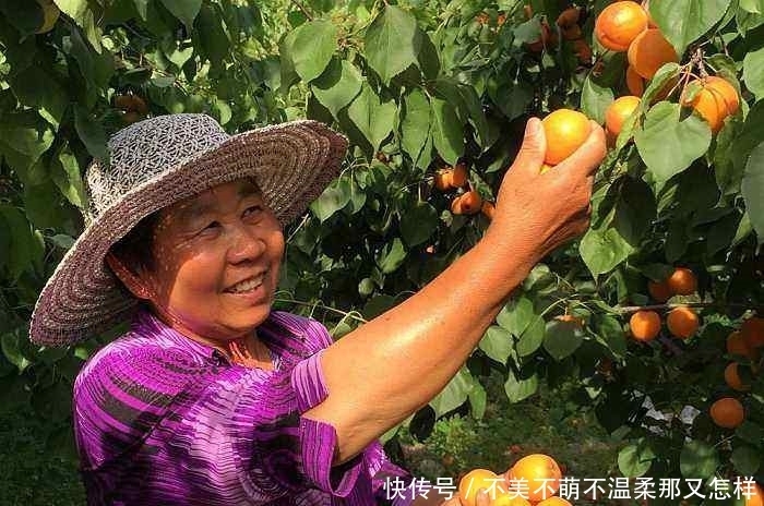 水果|它才是5月水果之王，吃软不吃硬，维生素含量高，不吃太可惜了