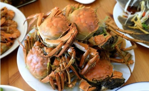 在家吃饭,选对食谱,小白也能做出一桌美味家常菜!