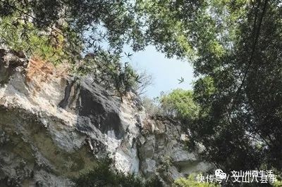 文山州这里有个岩蜂洞,神奇的天然“草药铺”