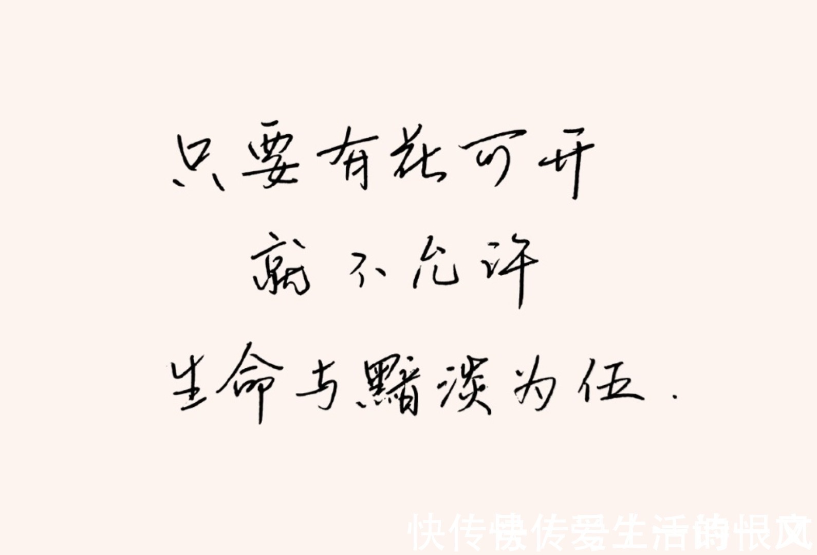 文字!或许人们把狂欢和爱情放在文字里是对的,因为它们别无去处