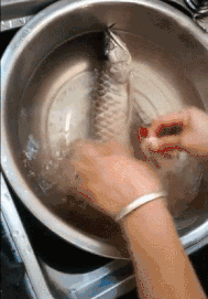 |搞笑GIF图:从开心到难过,其实只需要一个动作