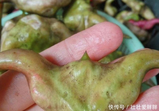 吃了这么多年，你真的懂荸荠吗