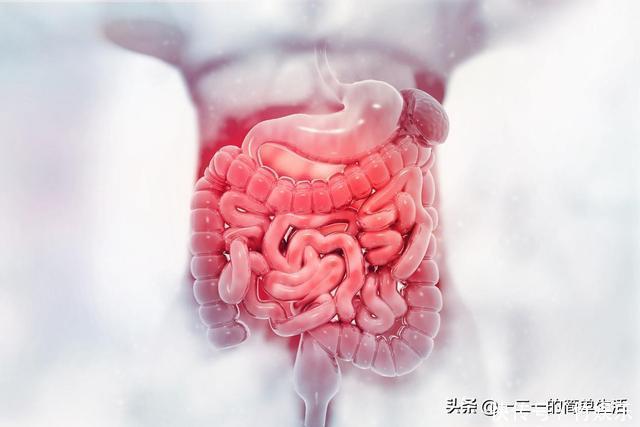 益生菌，守护宝宝肠道健康，将过敏击败