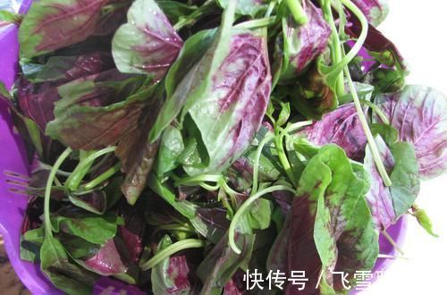 润肺|慢性咽炎一直反复?经常吃点天然“咽炎药”,轻松摆脱困扰