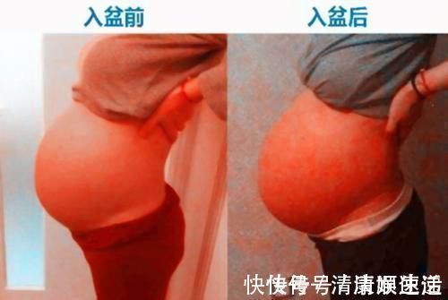 下腹部|胎儿何时入盆?入盆啥信号?入盆啥时候卸货?准妈妈必知一文讲清