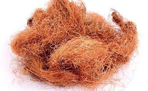 玉米须加点它泡水喝，比薏米祛湿邪好100倍，再也不必拔罐了!