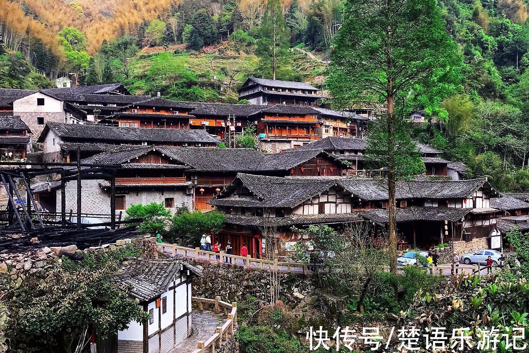 林坑|隐于浙南深山里的宝藏古村落，青山绿水美如画，成旅拍和写生胜地