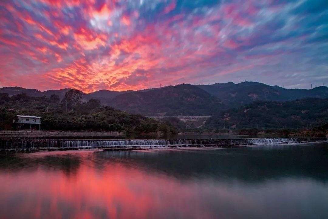 忘不了的乡愁：“十里蒜溪景”“百年南洋风”