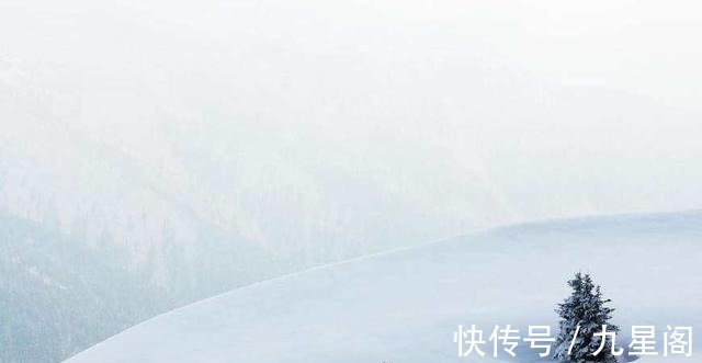 张宗昌@历史不堪回首,这位诗人的诗,堪称诗界泥石流!