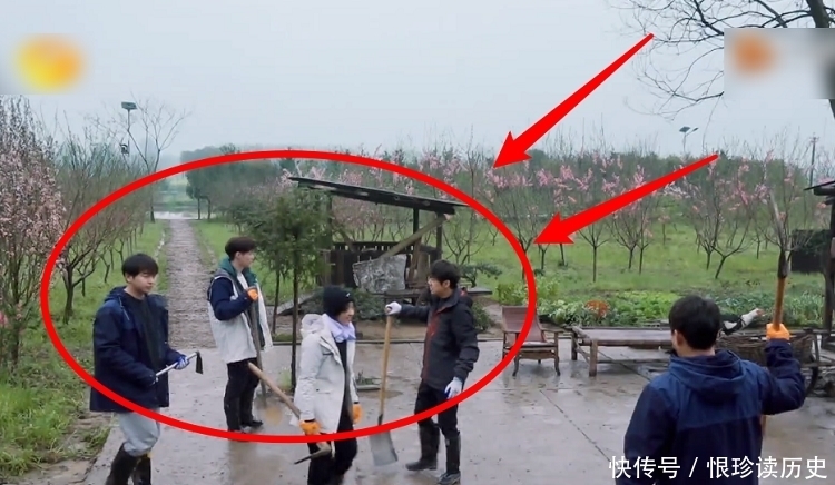 《向往5》嘉宾拍合照,本以为张艺兴主动让C位,原来只是个误会