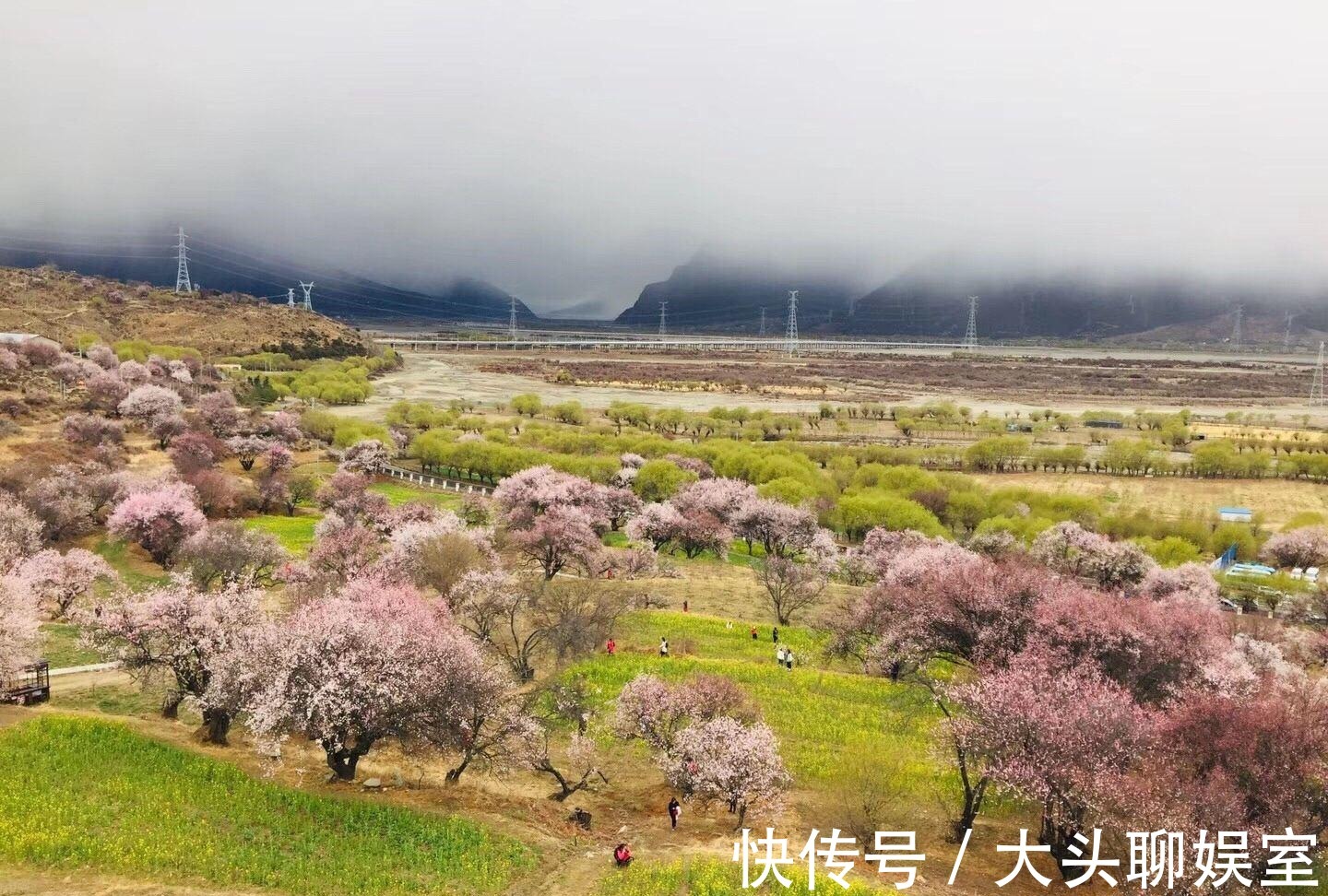 观赏期|中国5大赏桃花胜地，如今正值最佳观赏期，外出踏青再适合不过