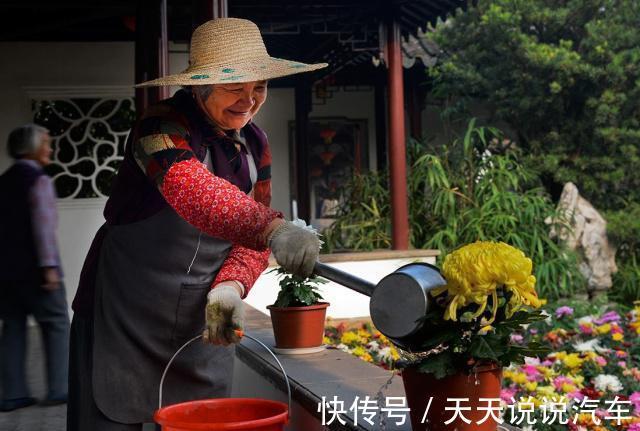 黄豆水的肥性，也比不过此特制溶液，用来浇花，绰绰有余