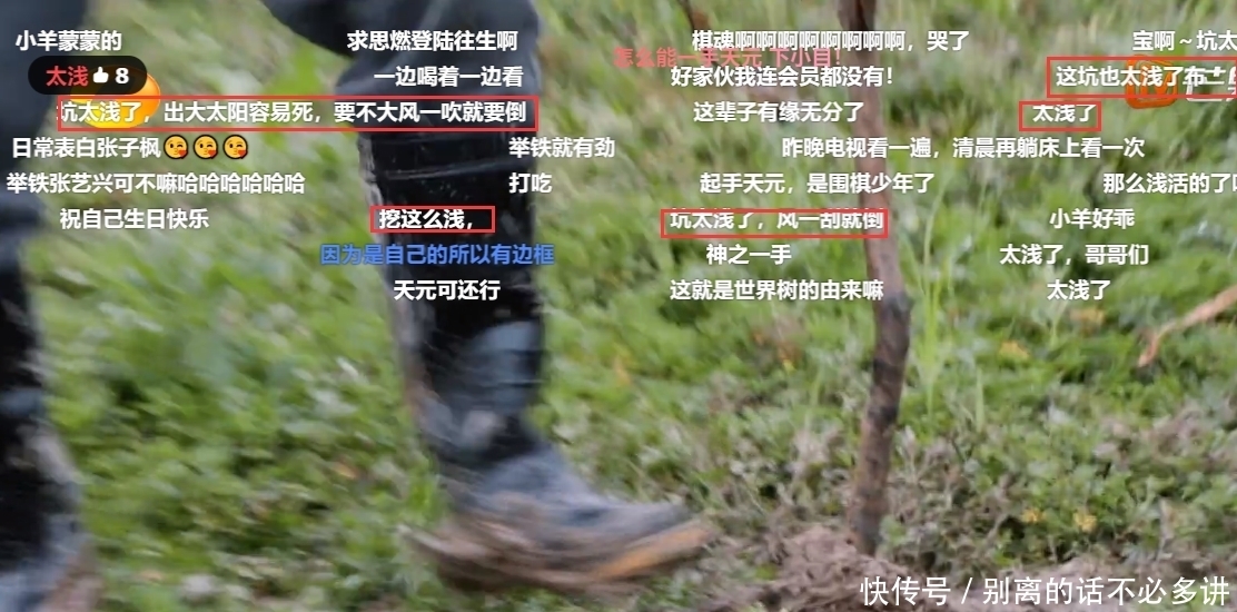 为了节目效果糟蹋桃树苗?《向往的生活》劳动致富的遮羞布被扯下