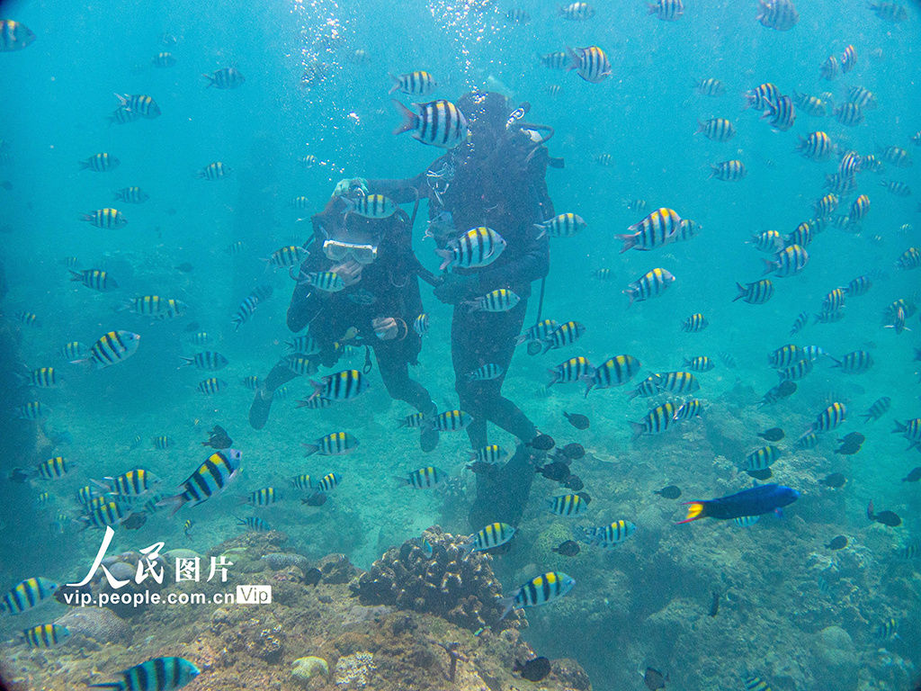 陵水|海南陵水：畅游海底世界