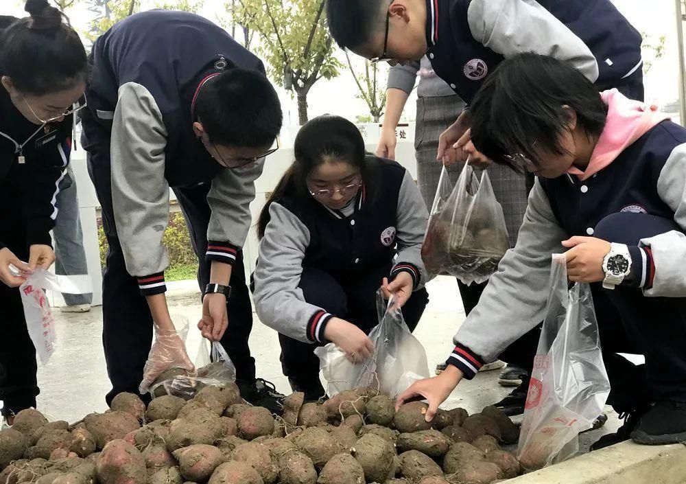 化管理|因为食品安全！龙泉驿这所学校被“点名”