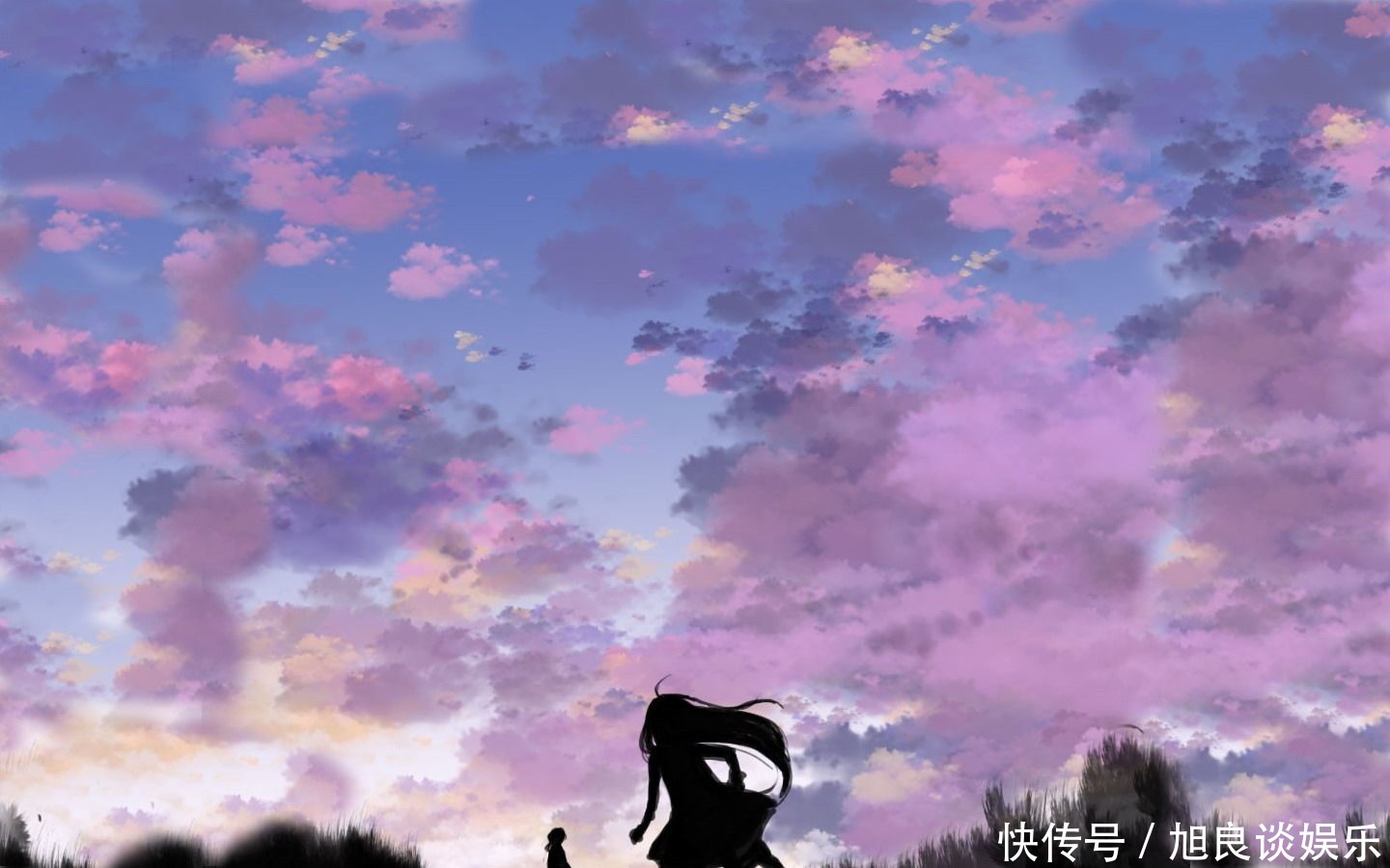 人生|斗球美文:一时强弱在于力,万古胜负在于理