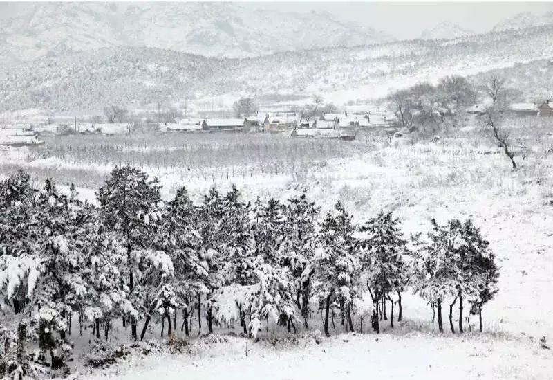 昆嵛山|一场冬雪后，昆嵛山竟变成这样……