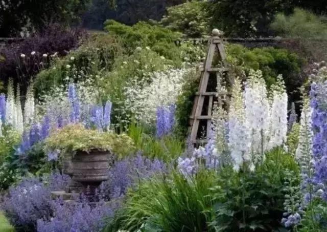 这才是花园应有的样子！