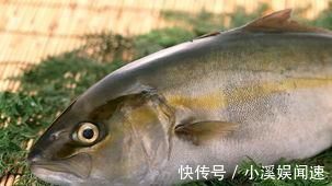 黑木耳|别看它不起眼, 却是高血脂的“死对头”, 常吃远离血栓困扰