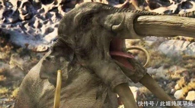 青毛狮子#封神演义中八大神兽坐骑,五色神牛垫底,四不像第三,第一是它!