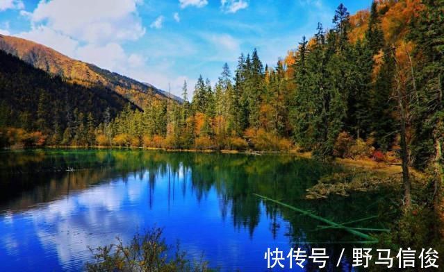 水景|九寨之境美如画,拥有数百河滩的它,是当之无愧的水景之王