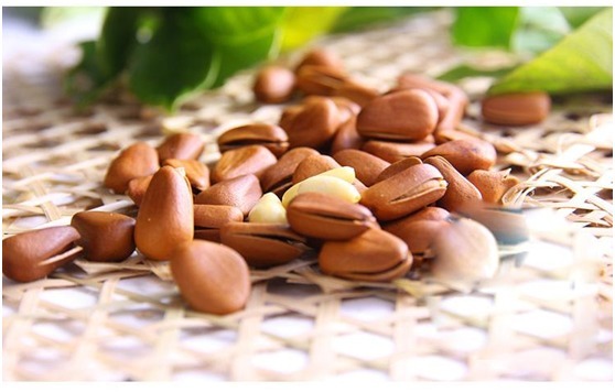 菠菜|真正补脑的食物不是核桃,而是此物!孩子要多吃,补脑益智更聪明