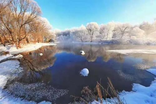 最美|去东北拍摄最美雾淞和雪景！12月15日-22日