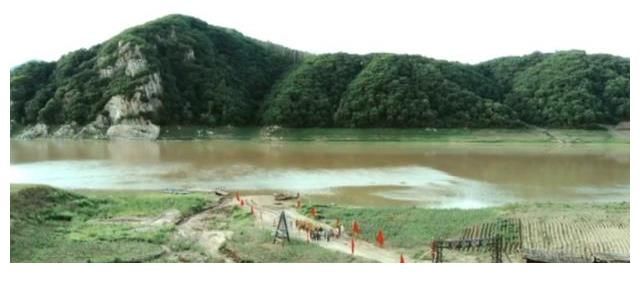 助阵|央视又一狠剧大爆,请来30多位“世界冠军”助阵,收视率直逼第一