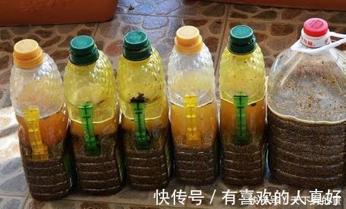 张大爷|张大爷养花,用“2种水”轮流浇,没想到,1年养出漂亮“小花园”