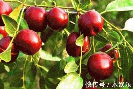 花生|花生配“1物”,胜过地黄丸,男人坚持吃7天,让肾脏更强壮