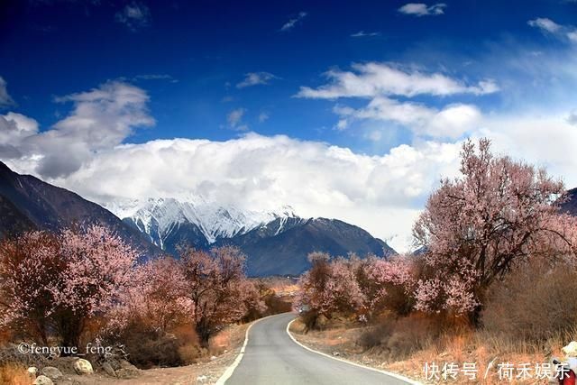 波密桃花开当桃花与雪山相遇，便成为云上仙境