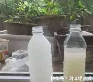 想让蟹爪兰“开完还开”，就浇“1种水”，20天就见效！